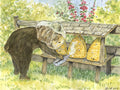 #328 - Beekeeping Notecard