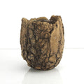 5.5" Top | Ceramic Fossil Planter
