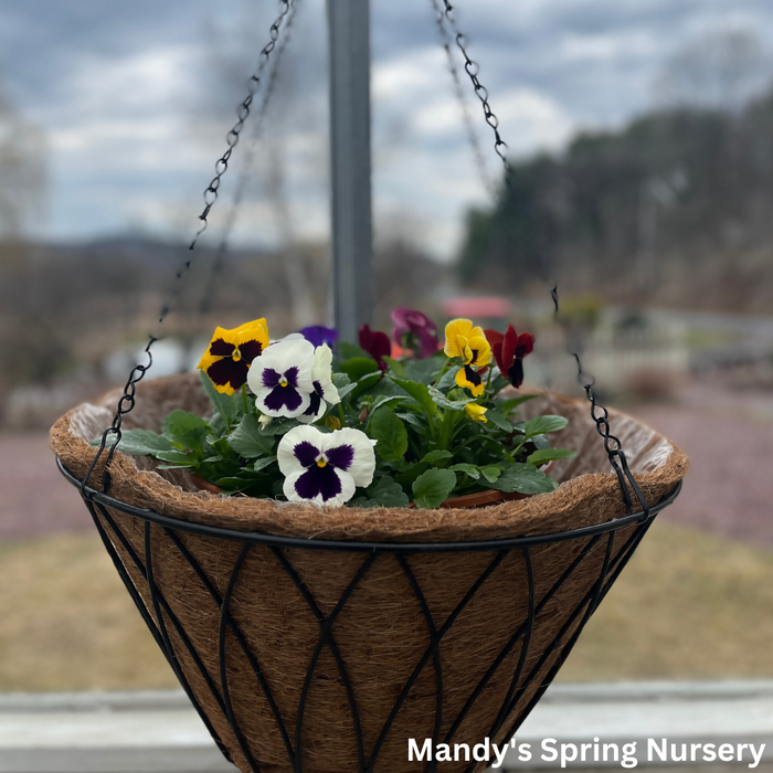 Austram Coco Coir Planters