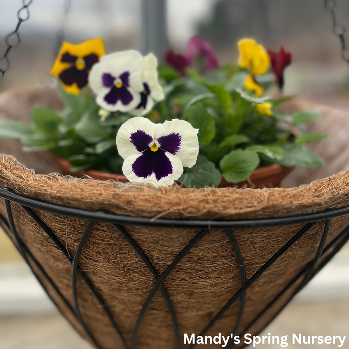 Austram Coco Coir Planters