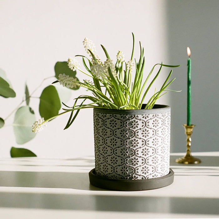 Balter Succulent Containers Cactus Pot And Saucer