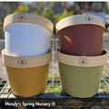 Bamboo Flower Pot