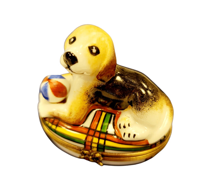 Beagle Dog Gift for Dog Lovers Limoges box shown from another angle