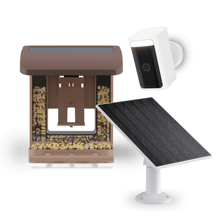 Bundle includes a bird feeder with a camera attached, allowing users to monitor their feeders from a distance.