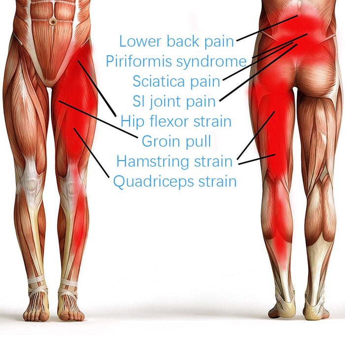 Brace Support for Hip Sciatica Arthritis