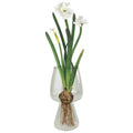 Bulb Vase, Glass