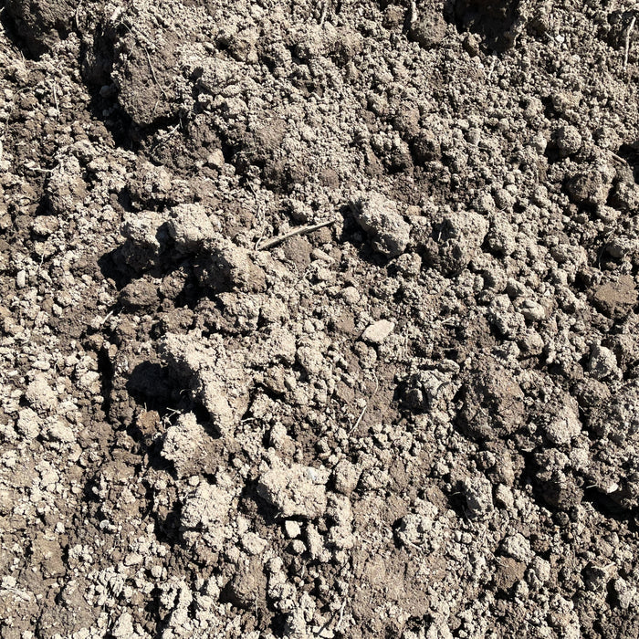 Bulk Screened Top Soil/Loam