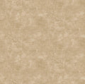Canvas - Cafe Au Lait