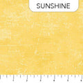 Canvas - Sunshine