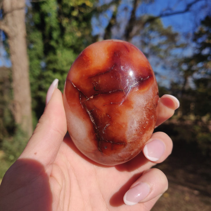 Carnelian Palm Stone (#1) - Simply Affinity
