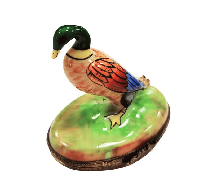 Charming Mallard Duck for Collectors Limoges box, hand-painted porcelain made in France