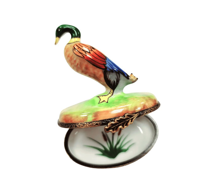 Charming Mallard Duck for Collectors Limoges box shown from another angle