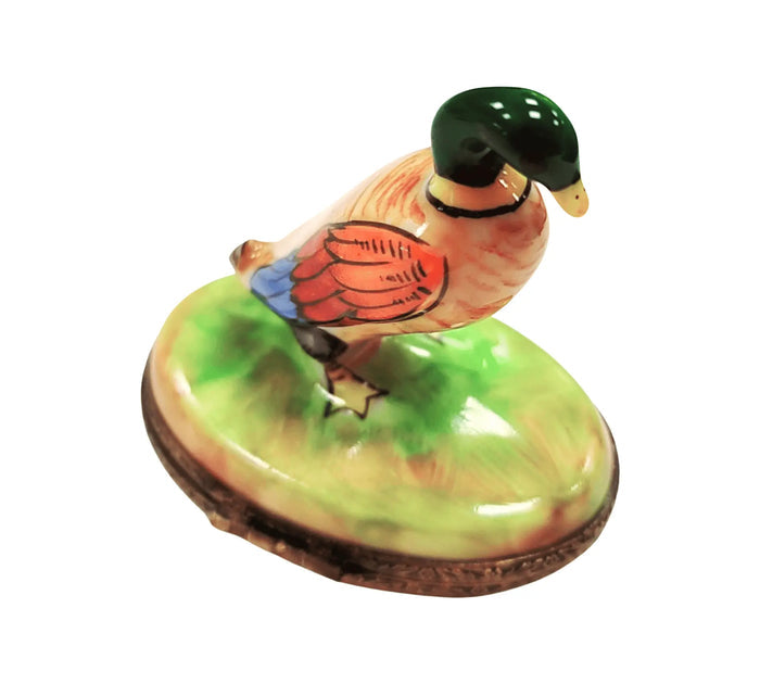 Another view of the Charming Mallard Duck for Collectors Limoges trinket box