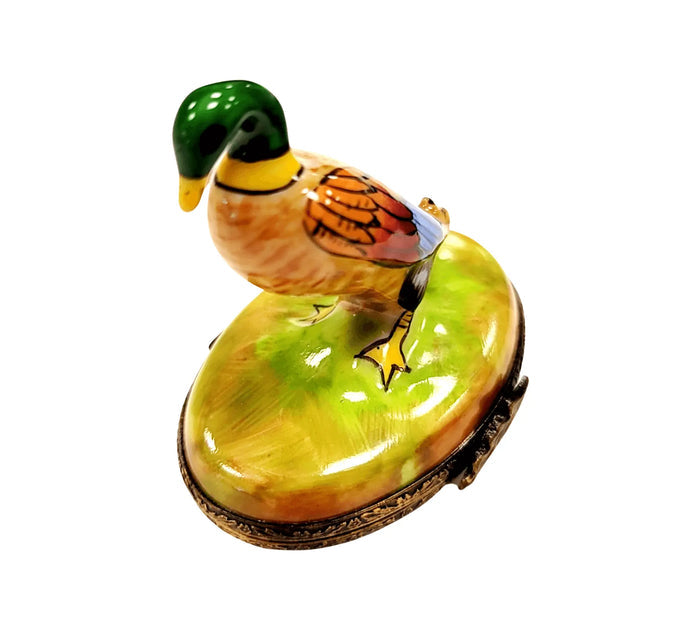 Charming Mallard Duck for Collectors porcelain box from Limoges, alternate view