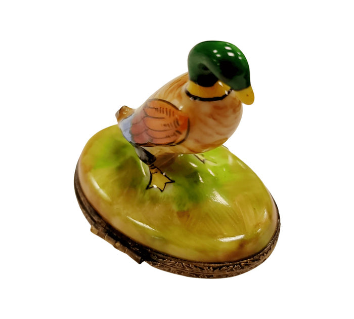 Hand-painted Charming Mallard Duck for Collectors Limoges box, additional photo