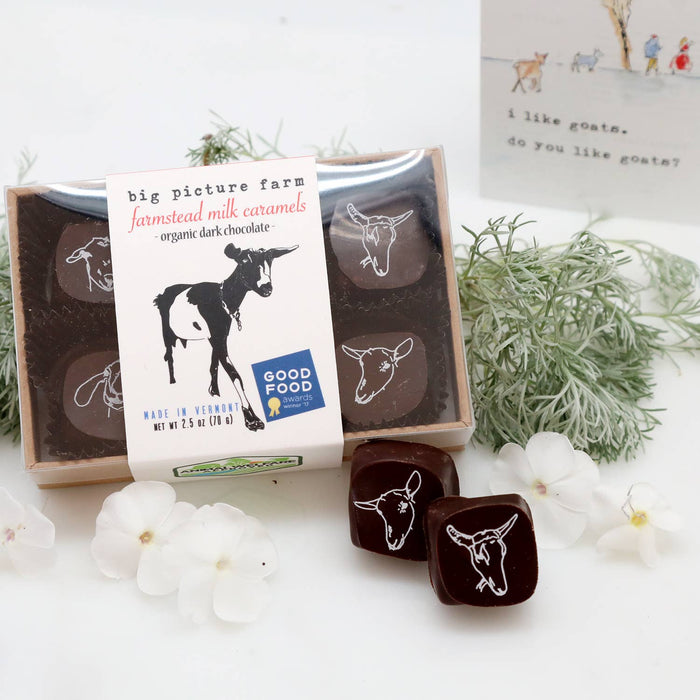 Chocolate Covered Goat Milk Caramel