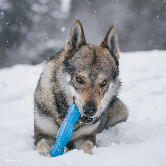Coastal Pet Products ProFit Foam Toy Stick (Blue Lagoon, 11.5")