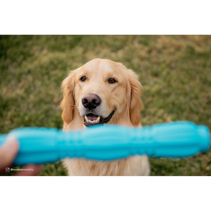 Coastal Pet Products ProFit Foam Toy Stick (Blue Lagoon, 11.5")