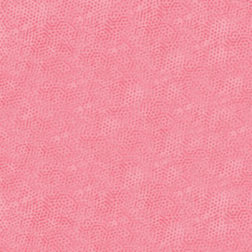 Dimples - Carnation