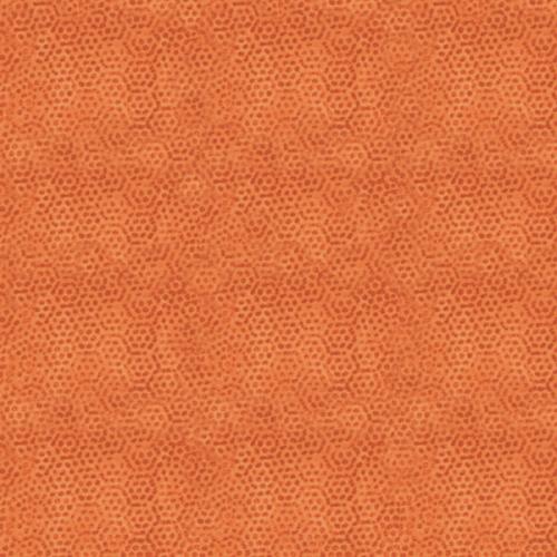 Dimples - Carrot