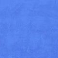 Dimples - Delphinium