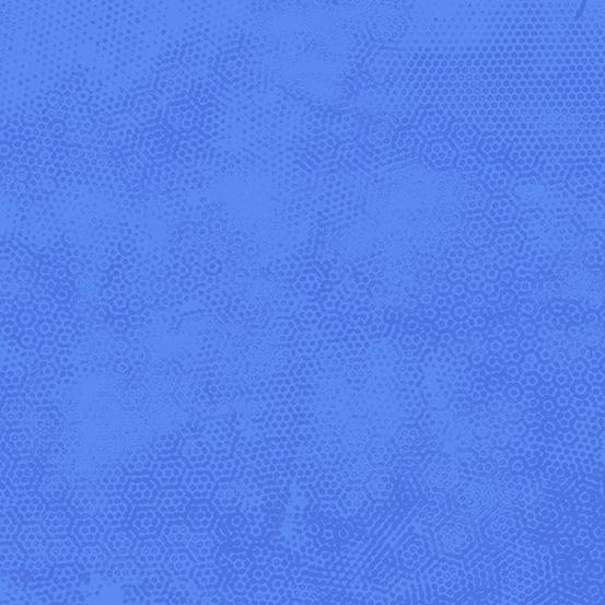 Dimples - Delphinium