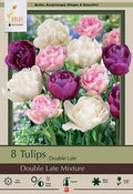 Double Dutch Tulip Mix