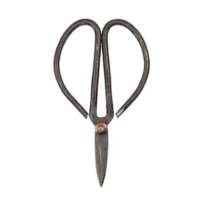 Edward Plant Scissors/ Gardening 
Plant Accessories