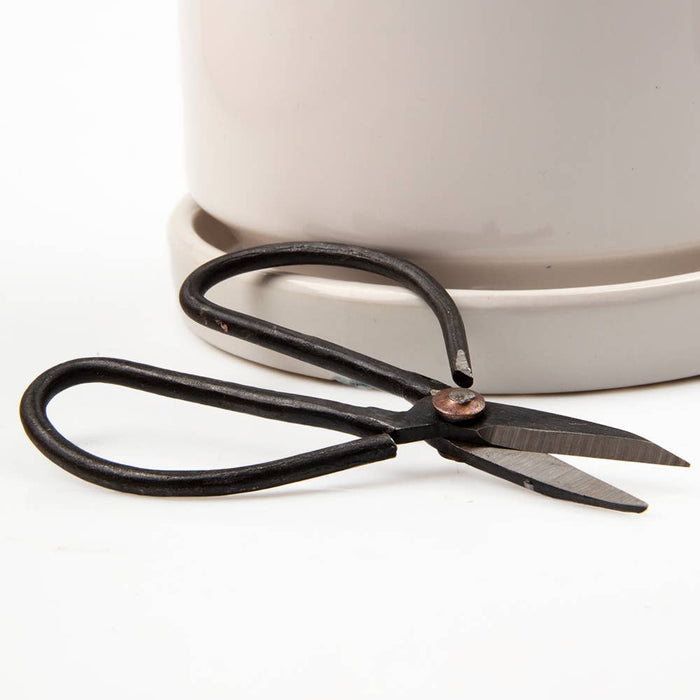 Edward Plant Scissors/ Gardening 
Plant Accessories