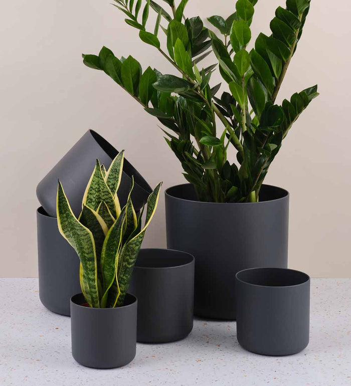 Elho Matt Pot range in dark grey