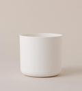 14cm / White