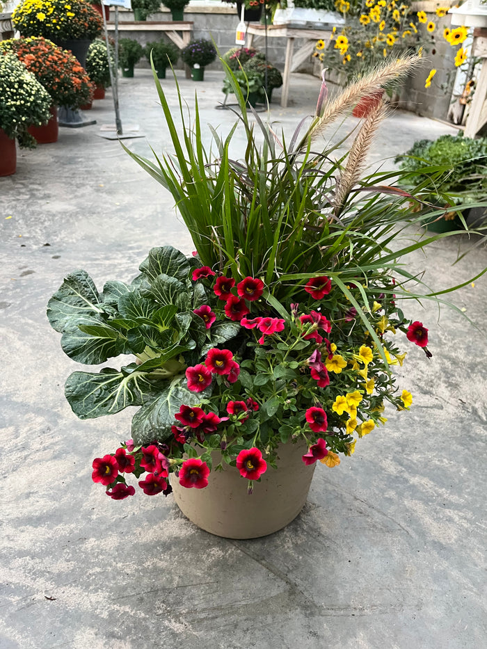 Assorted fall deco plants