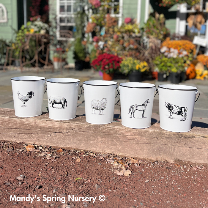 Farm Animal Bucket Planter