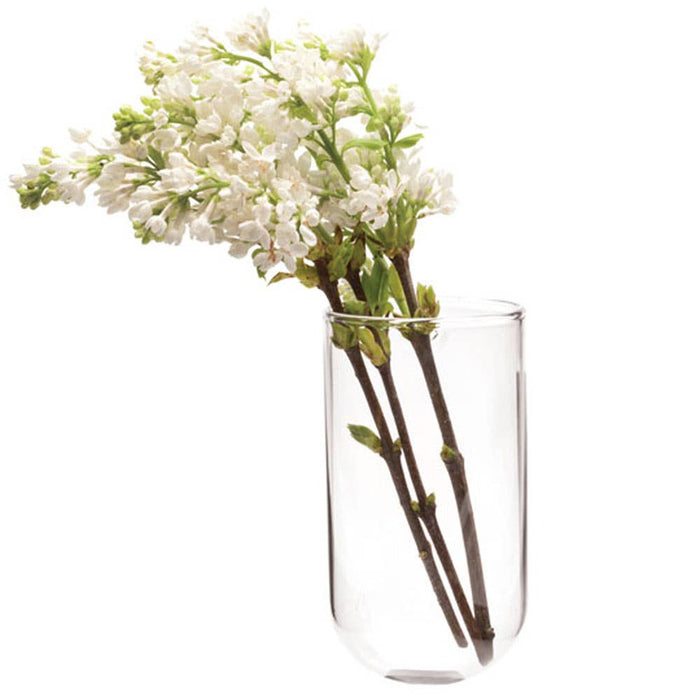 Flower Vase Clear Glass With Hole For Wall Mounting