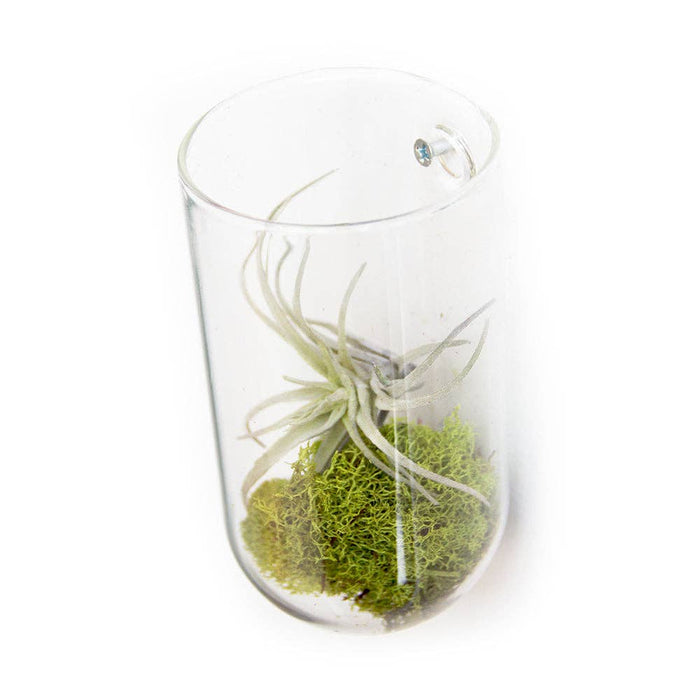Flower Vase Clear Glass With Hole For Wall Mounting