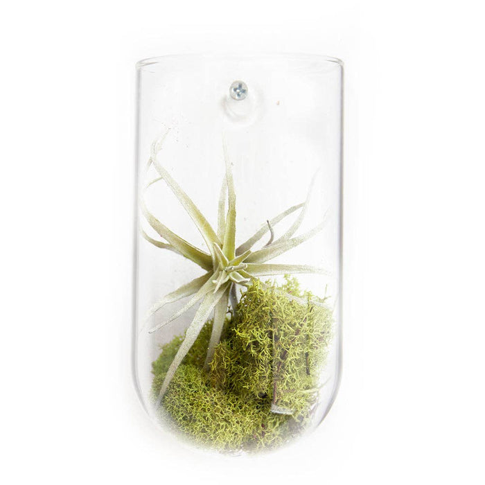 Flower Vase Clear Glass With Hole For Wall Mounting
