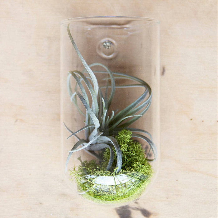 Flower Vase Clear Glass With Hole For Wall Mounting