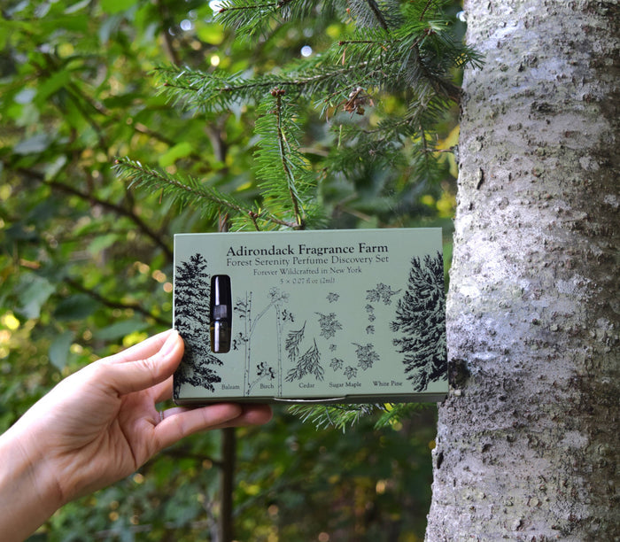 Forest Serenity Perfume Spray Discovery Set 0.07 oz x 5