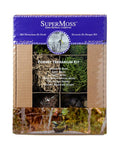 Forest Terrarium Kit