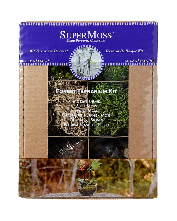 Forest Terrarium Kit