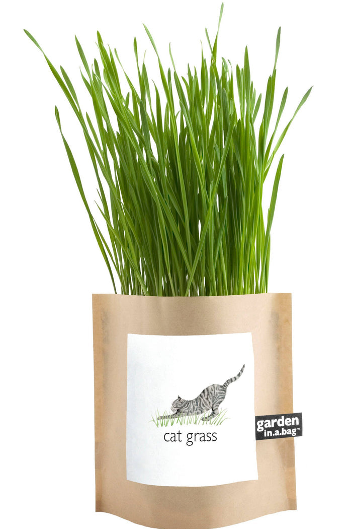 Garden in a Bag | Cat Grass | Spring Pet Treat Gift