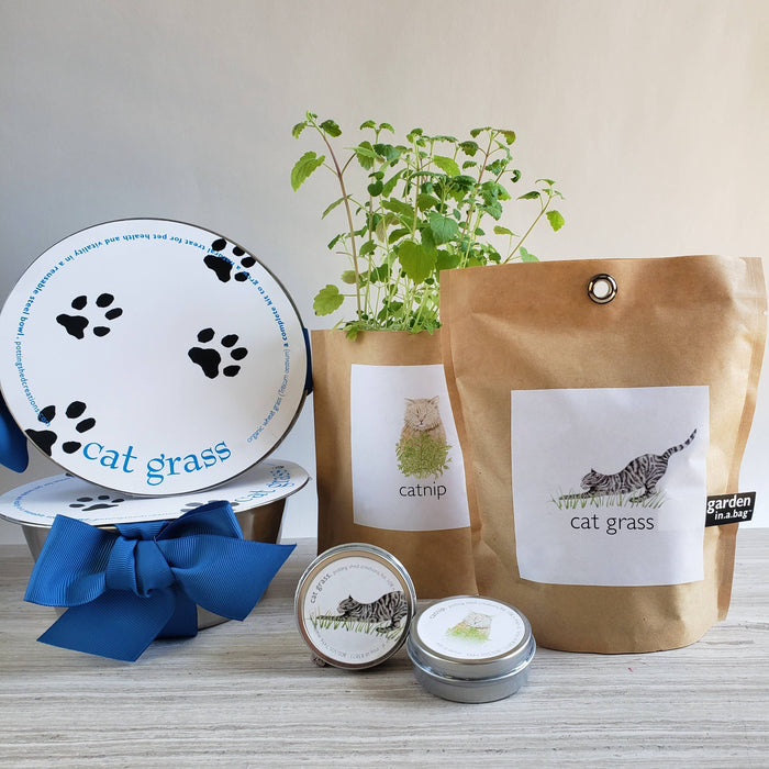 Garden in a Bag | Cat Grass | Spring Pet Treat Gift