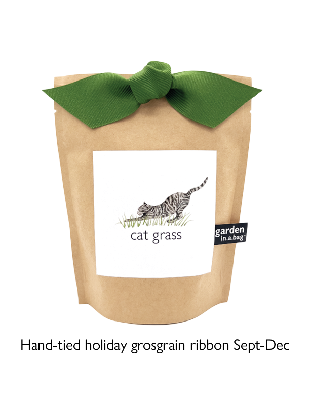 Garden in a Bag | Cat Grass | Spring Pet Treat Gift