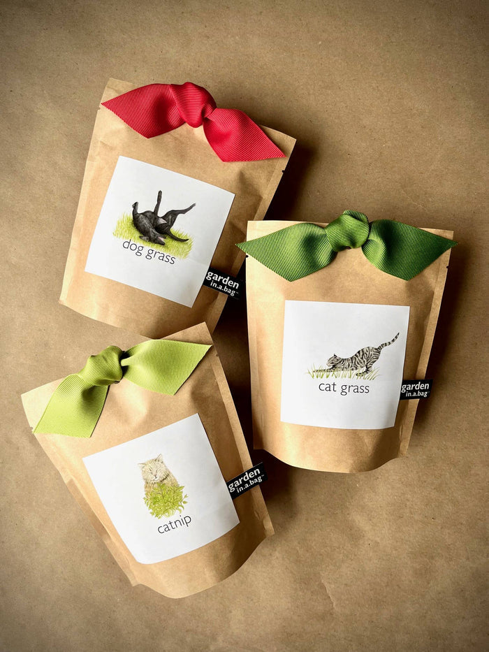 Garden in a Bag | Dog Grass | Spring Pet Treat Gift
