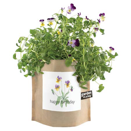 Garden in a Bag Happy Birthday | Best Seller | Seasonal Gift