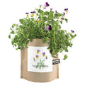 Garden in a Bag Happy Birthday | Best Seller | Seasonal Gift