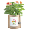 Garden in a Bag | Thank You | Best Seller