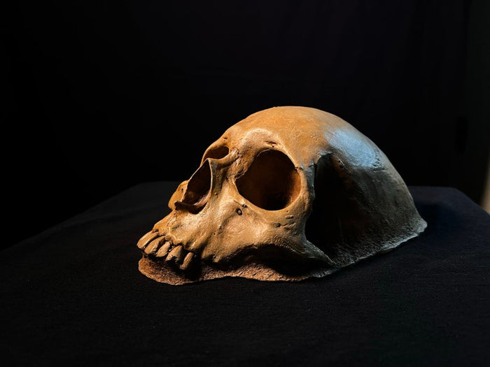 Garden Skull Creepy Garden Decor Garden Gifts Halloween Garden Decor