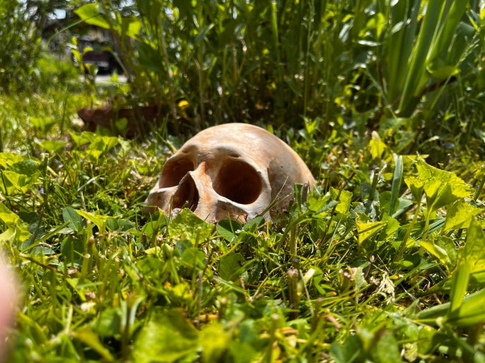 Garden Skull Creepy Garden Decor Garden Gifts Halloween Garden Decor