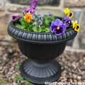 'Grecian' Urn Black Planter